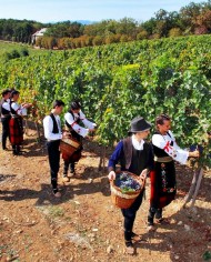 Dias do vinho e conhaque de São Jorge