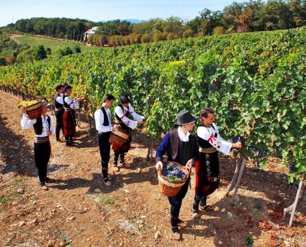 Dias do vinho e conhaque de São Jorge