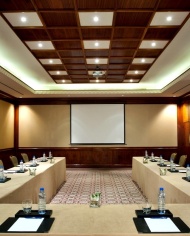 Hyatt Belgrad Conferencing