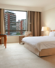 Hyatt Beograd Standard King Guestroom