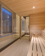 Radison Blu Old Mill Sauna