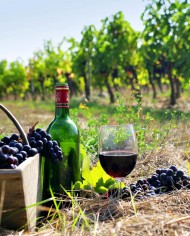 Serbia black wine