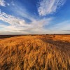 vojvodina plain