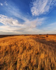 Vojvodina plain