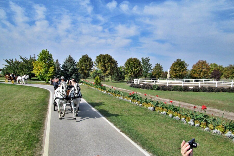 Serbie Carriage Race