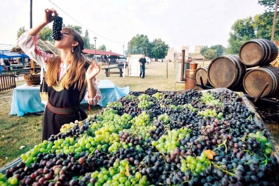 Vinframställning i Serbien