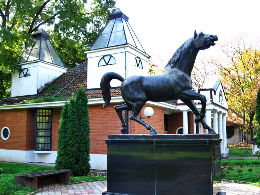 Zobnatica Horse Himmelen