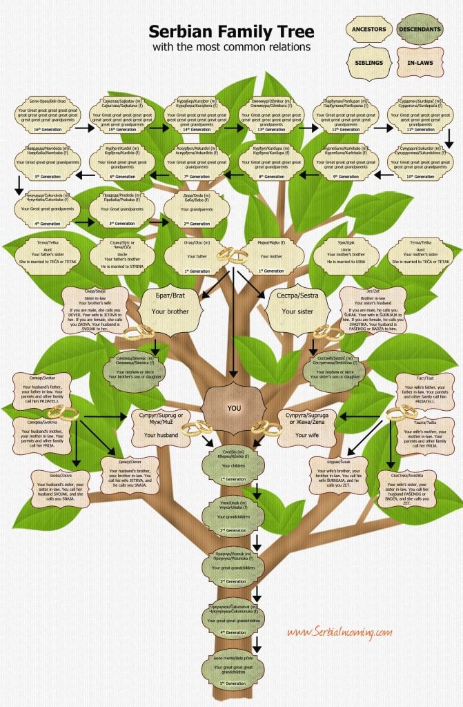 Family Tree Сербия