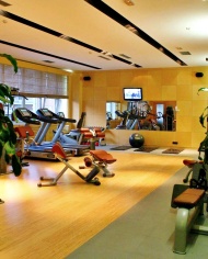 Hotel Aleksandar Novi Sad fitness