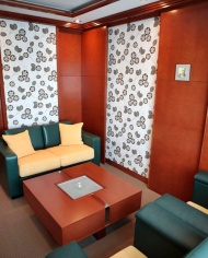 Hotel Aleksandar Novi Sad room leisure