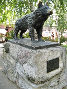 Belgrado zoológico, cadela Gabi