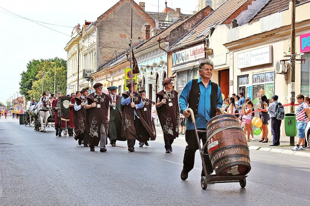 Grapeball Vrsac