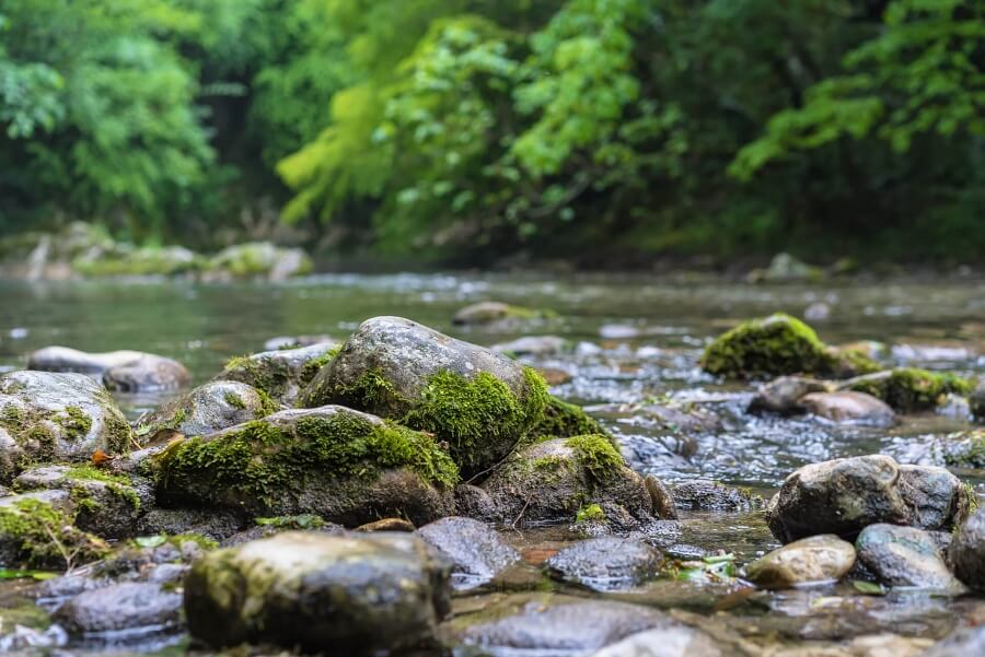 Luogo estivo della Serbia fiume Rzav