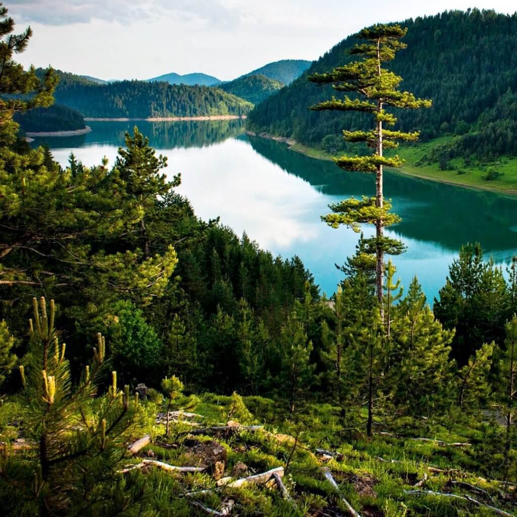 Vue de la rivière Tara