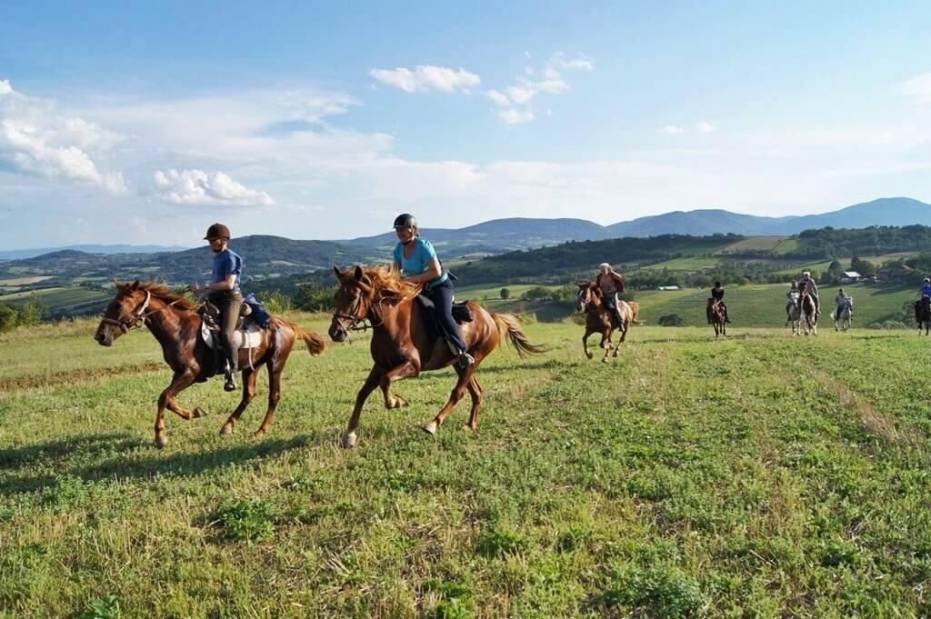 Team building a cavallo in Serbia