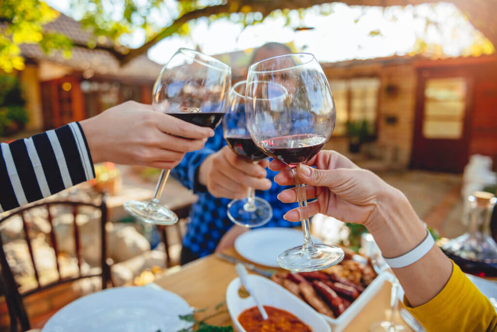 Pranzo presso la tradizionale fattoria Salas in Vojvodina